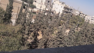 حديقة حباق