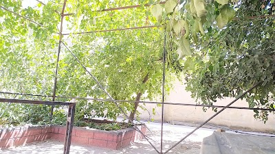 حديقة كلية الآداب