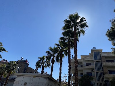 حديقة نزار قباني