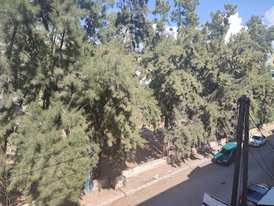 حديقة سام