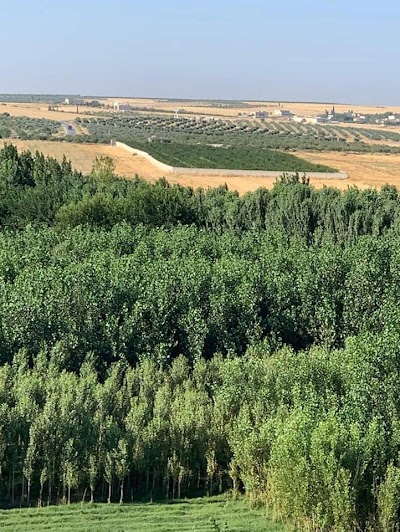 حديقة سفان