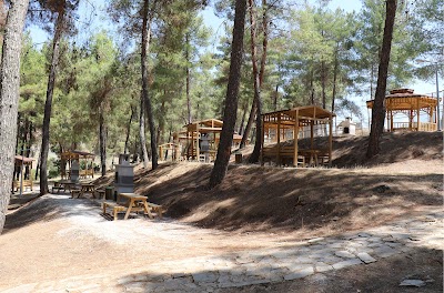 Hisar Pine Grove Nature Park