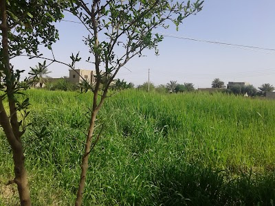 حسرات المركز الصحي