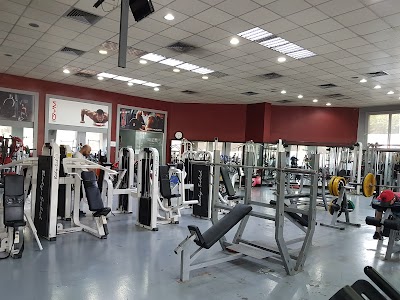 I Gym fitness factory