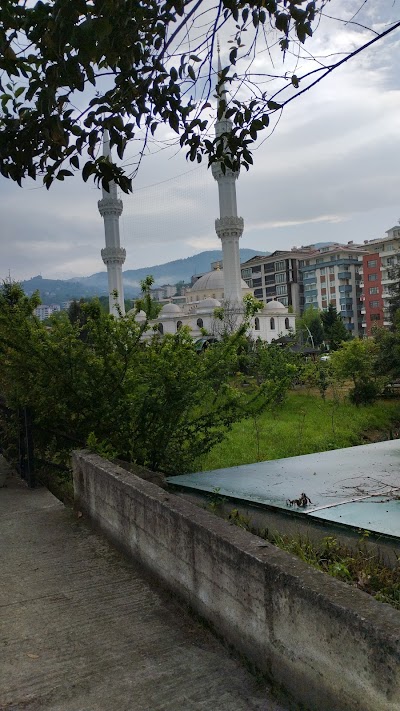 Ibrahim Hanano School