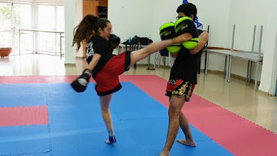 Institute of Martial Arts and Self Defense