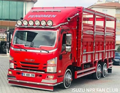 Isuzu-yetklili Servis
