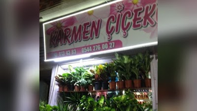 Karmen Cicekcilik