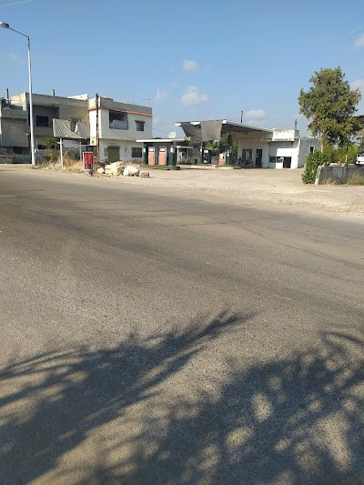 كازية البشير
