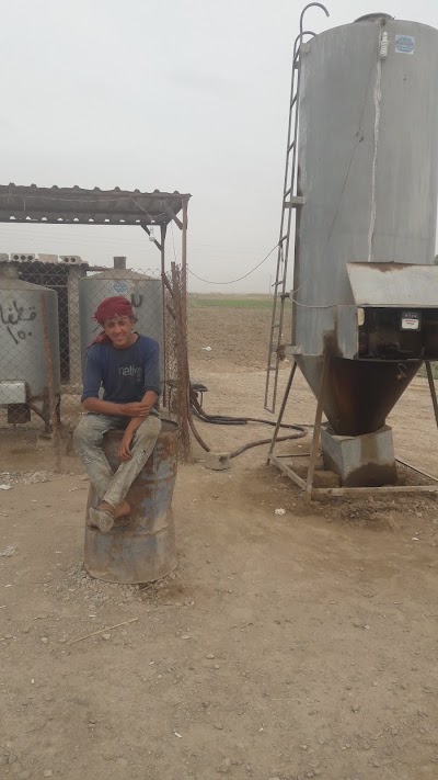 كازية محمد ابوشجاع