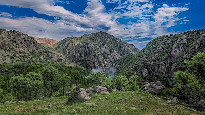 Kelahya Piknik Alanı