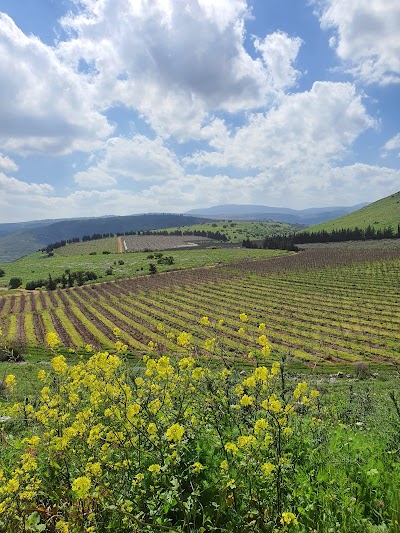 Kfar Gil'adi