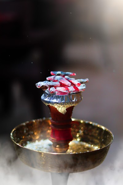كفتريا المرجان