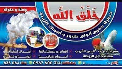 خلق الله