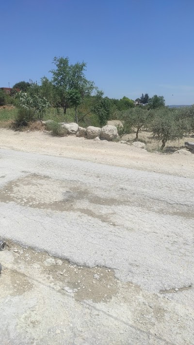 قهوة ابو محمد طلال