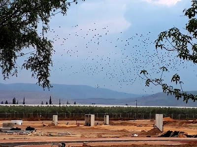 Kibbutz Shaar HaGolan