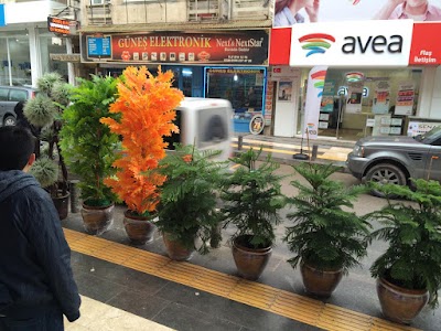 Kilis Çiçekçi : Yağmur Çiçek