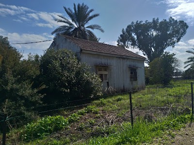 Kinneret Village