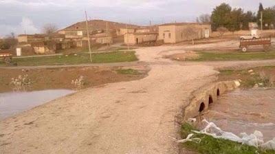 قلبي هنا