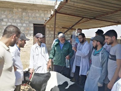 كلية الطب البيطري - جامعة إدلب