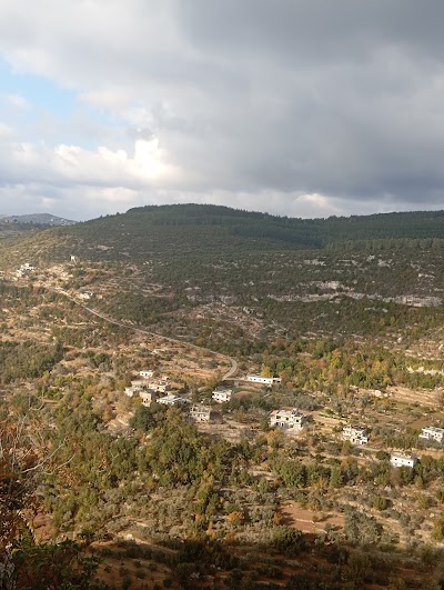 قمه جبل النبي يونس