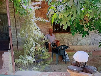كنيسة مار يونان