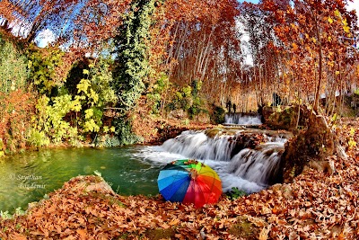Kordis Çınaraltı Aile Piknik Alanı