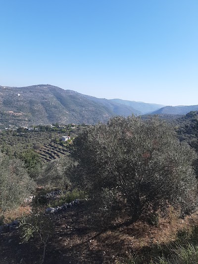 قرية بحوي مصايف نهر الخوابي