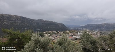 قرية كرم التين