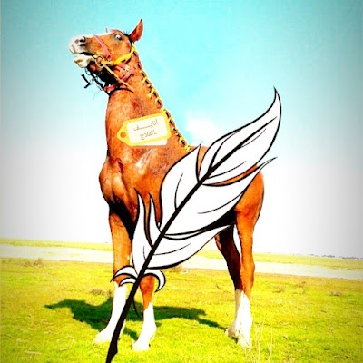 قريه مطيران الفلاج