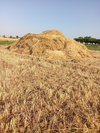 كشك برقل