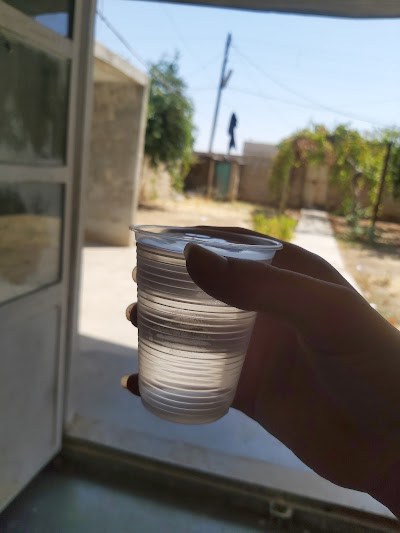 قصر يلدز