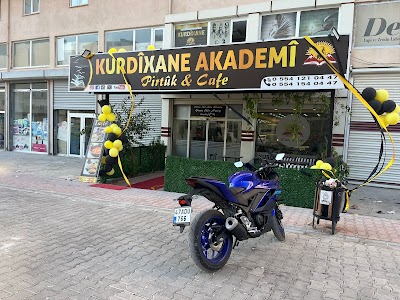 Kurdîxane Akademî