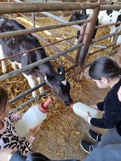 kurlender farm