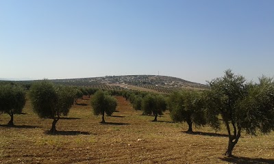 كيلو متر