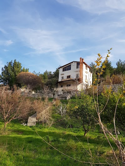 Lake Mashkita Resort