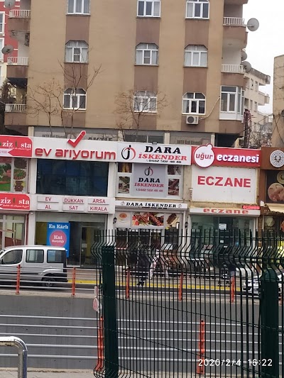 Looking For Home