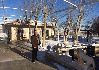 Luthier Georges Bitar Ras Baalbeck