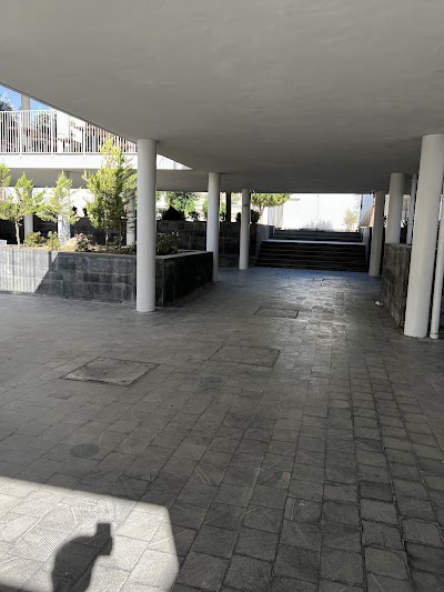 Lycee Charles De Gaulle