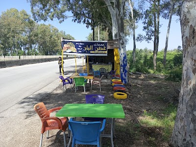 معجنات غصن البان