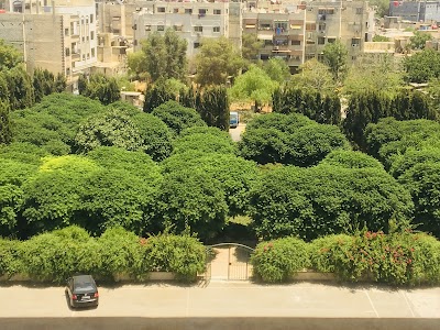 معهد المحدث الاكبر الشيخ بدر الدين الحسني