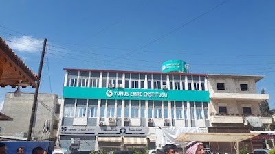 معهد يونس ايمره