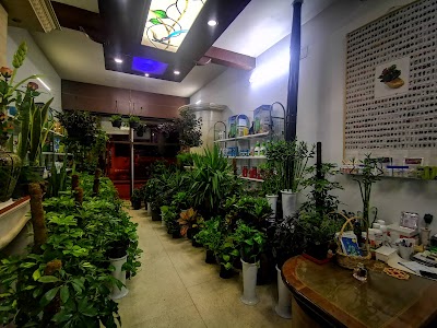 معسعس للزراعة