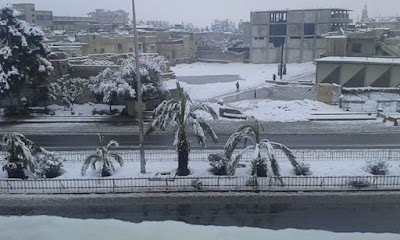 Malek Ebn Anas