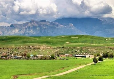 مالكيه ديرك