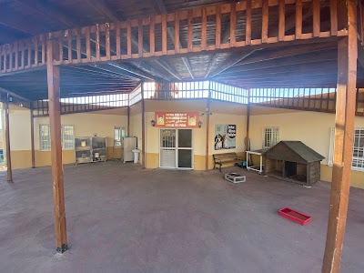 Mardin Büyükşehir Belediyesi Sokak Hayvanları Rehabilitasyon Merkezi (Hayvan Hastanesi)