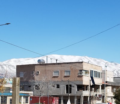 Masada police