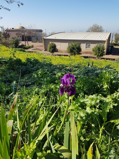 Matzok Orvim Resort