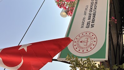 Mavi Gökyüzü Özel Eğitim ve Rehabilitasyon Merkezi