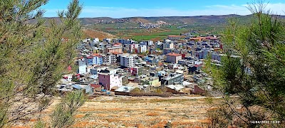 Mazidagi Adliyesi